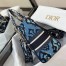 Dior Medium Lady D-Lite Bag In Blue Dior Palms Embroidery