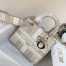 Dior Medium Lady D-Lite Bag In Beige Stripes Embroidery