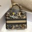 Dior Medium Lady D-Lite Bag In Beige Jardin d'Hiver Embroidery