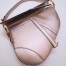 Dior Saddle Bag In Champagne Metallic Grained Calfskin