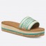 Dior Dioriviera Dway Platform Slides in Raffia and Aquamarina Embroidered Cotton