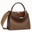 Fendi Brown Peekaboo X Lite Regular Bag