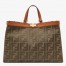 Fendi Peekaboo X Tote In Green Canvas with FF Motif