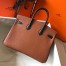 Hermes Bi-Color Birkin 25cm Bag In Brown/Black Clemence Leather