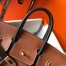 Hermes Bi-Color Birkin 25cm Bag In Brown/Black Clemence Leather