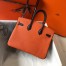 Hermes Tri-Color Birkin 25cm Bag In Orange/White/Black Clemence Leather