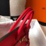 Hermes Birkin 25cm Bag In Red Clemence Leather