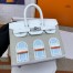 Hermes Snow Sac Faubourg Birkin 20 Sellier Limited Edition Bag