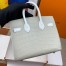 Hermes Snow Sac Faubourg Birkin 20 Sellier Limited Edition Bag