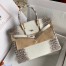 Hermes Diamond Birkin 30cm Bag In Himalaya Niloticus Crocodile Skin