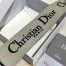 Dior Beige Christian Dior Shoulder Strap